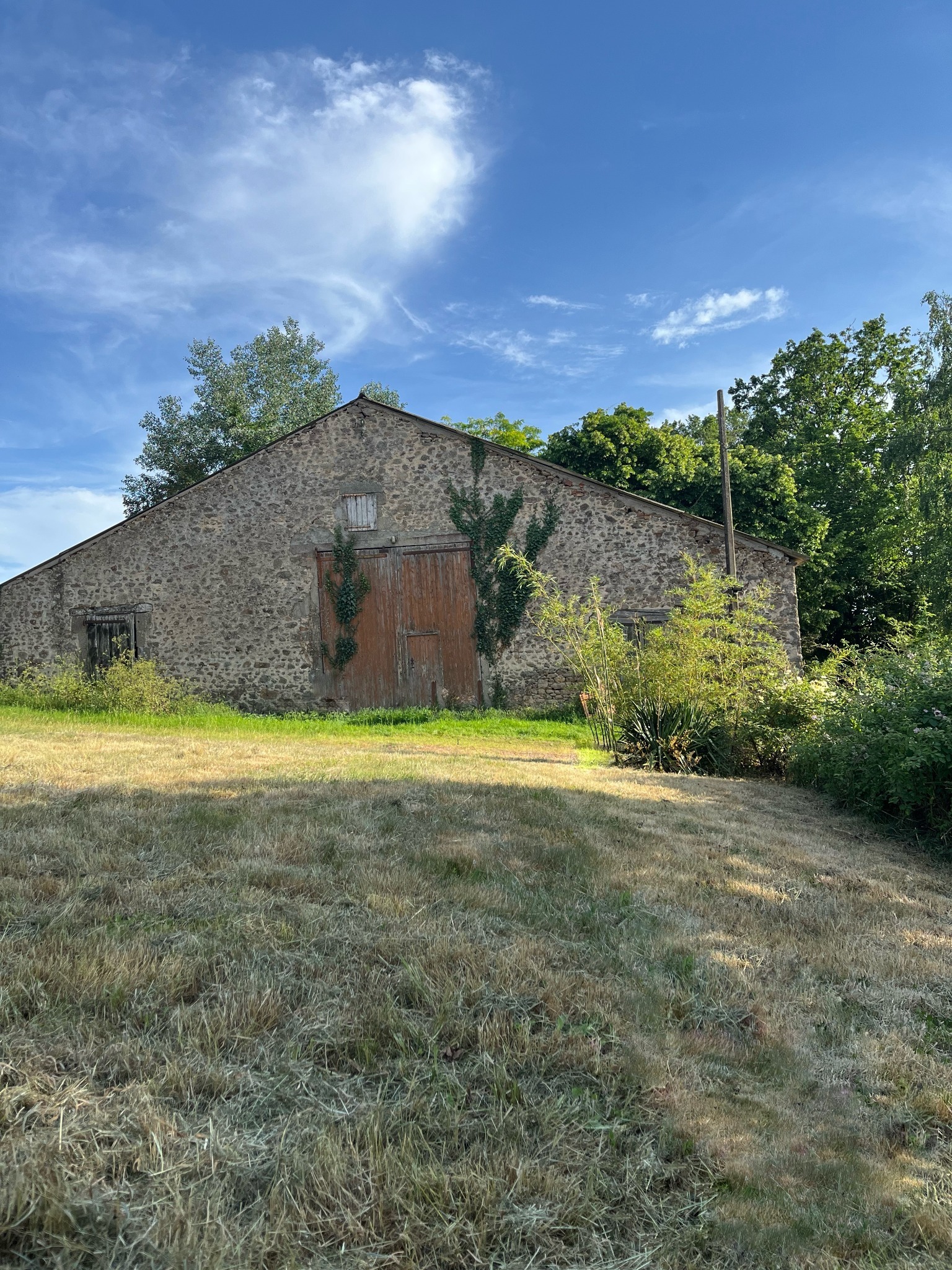 Après tonte de pelouse